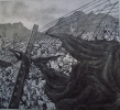 2-Wind-in-the-Vineyard-2015