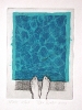 The Four Elements |  Water  |   2001  |  20x15cm  |  etching, chine collé  |  ed.40